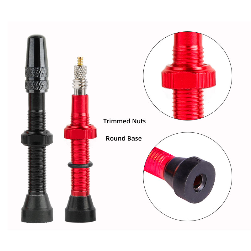 100/120mm F/V Nozzles Tubeless - Tubeless Valve Core ulasan dan harga