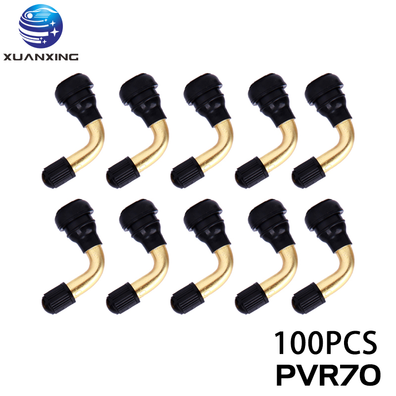 100PCS PVR70 PVR40 PVR50 PVR60 - Tubeless Valve Core ulasan dan harga