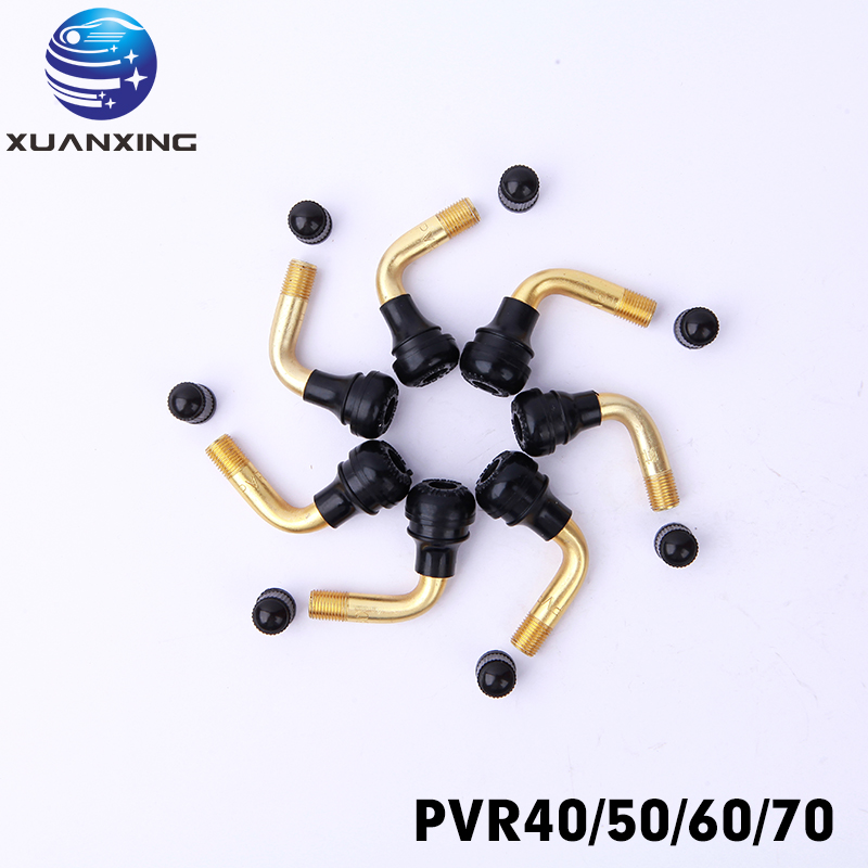 100PCS PVR70 PVR40 PVR50 PVR60 - Tubeless Valve Core ulasan dan harga