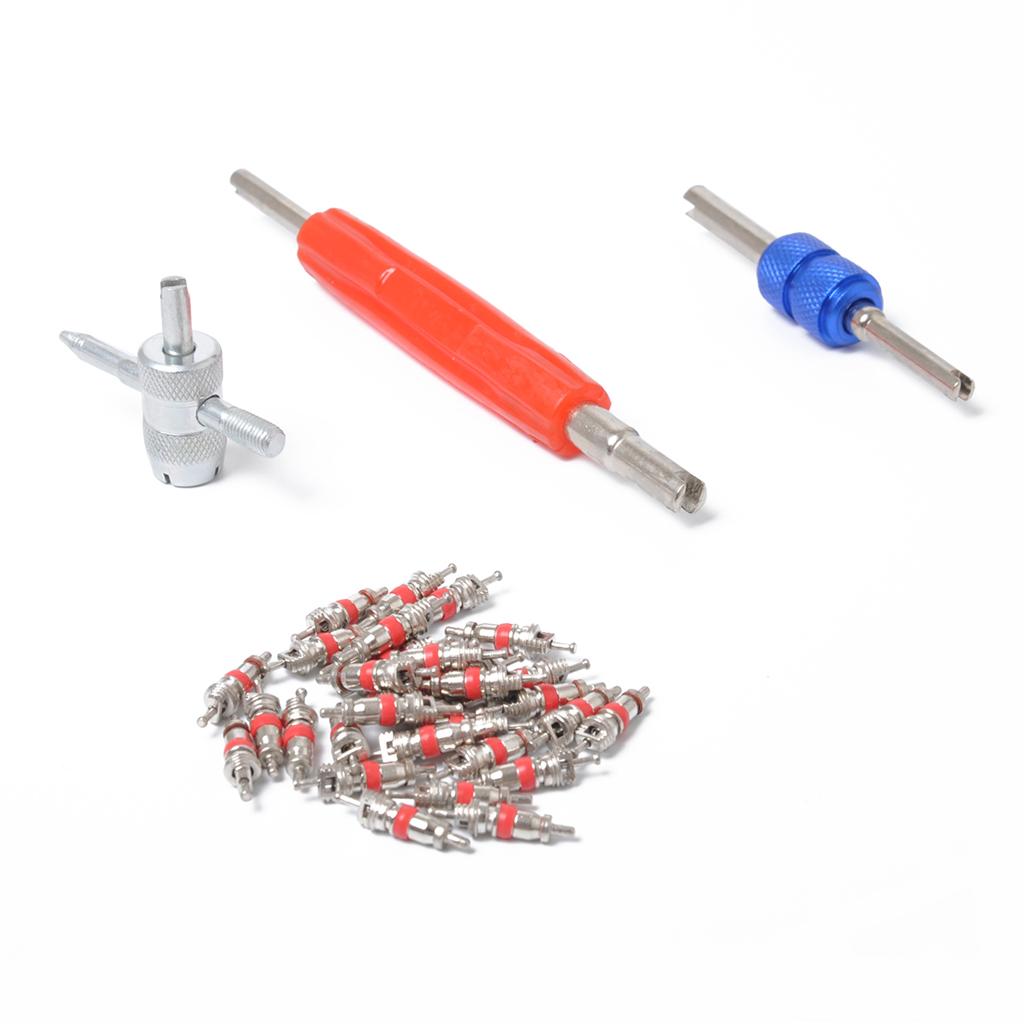 Tire Valve Kit Alloy Tubeless  - Tubeless Valve Core ulasan dan harga