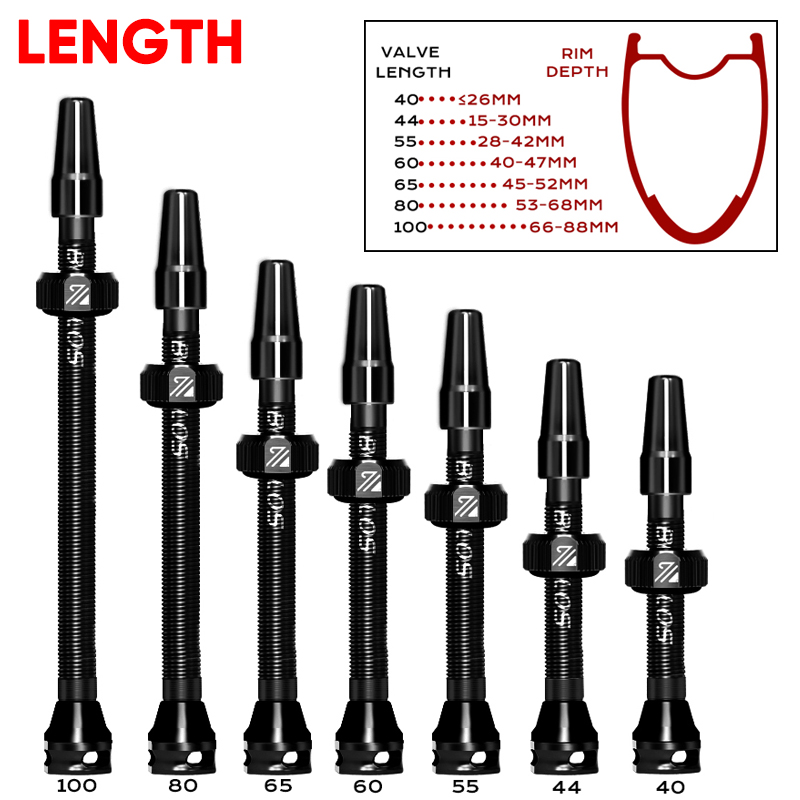 BUCKLOS 40/44/55/60/65/80/100m - Tubeless Valve Core ulasan dan harga