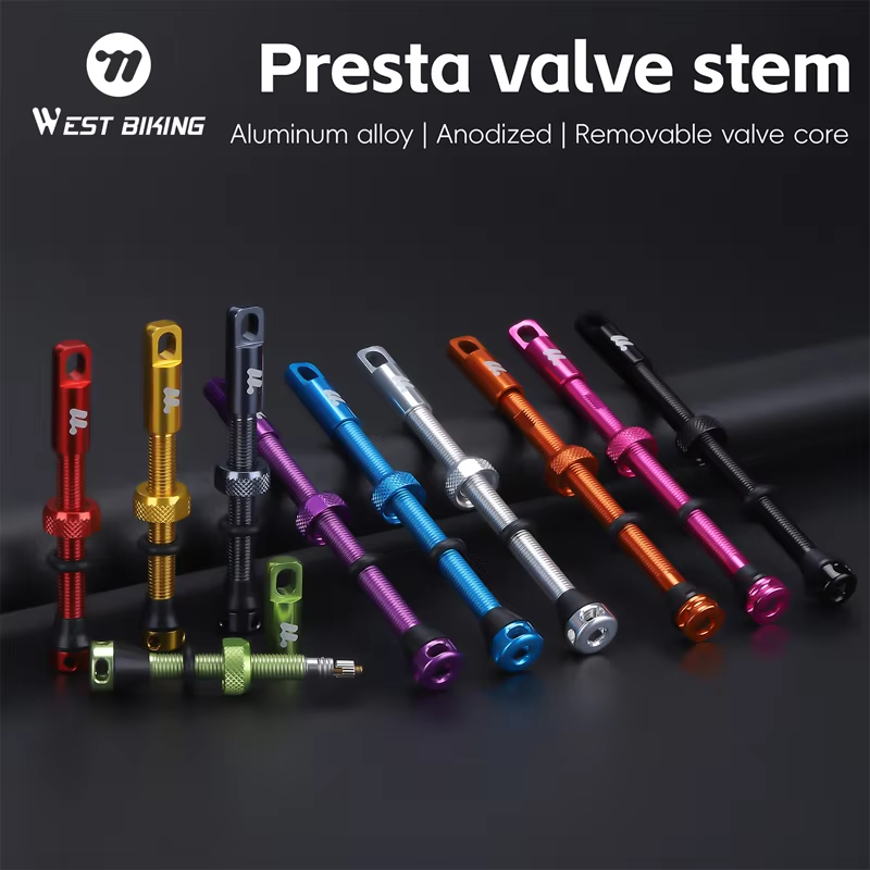 WEST BIKING 2PCS Bicycle Tubel - Tubeless Valve Core ulasan dan harga